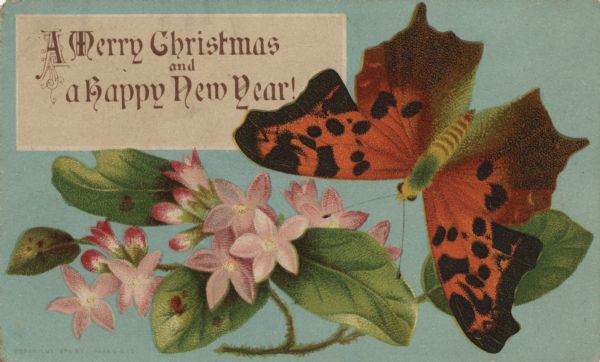 Holiday card with flowers and butterflies. Caption reads: "A Merry Christmas and a Happy New Year." Chromolithograph.