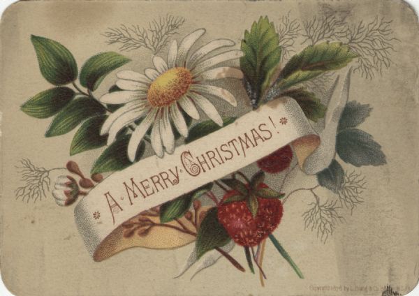 Holiday card with ribbons, flowers and fruit. On the ribbon are the words: "A Merry Christmas!" Chromolithograph.