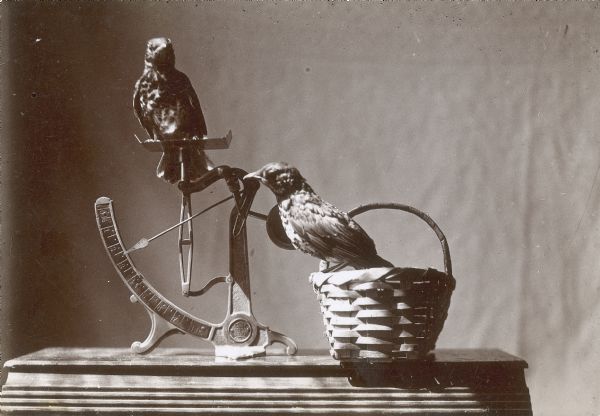 Two juvenile robins are posed on an egg scale and basket.