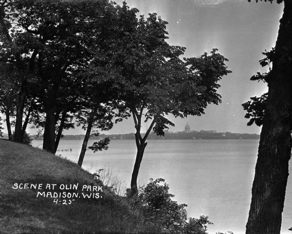 Madison Skyline from Olin Park View from Olin Park looking at the Madison skyline.