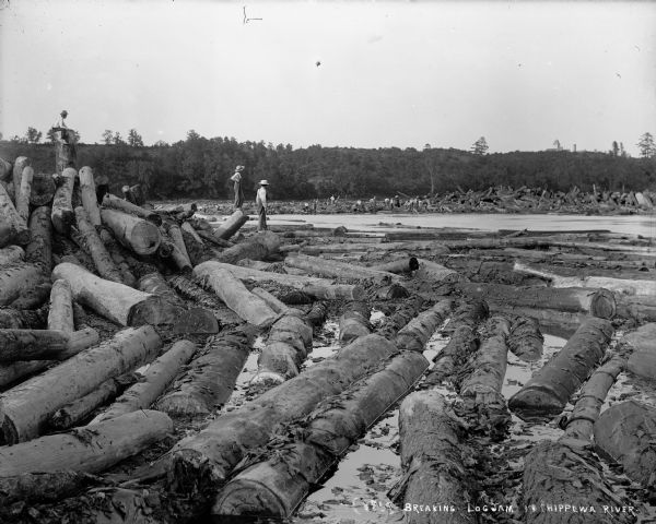 Three barefoot boys stand on a pile of logs in the foreground looking across the river at a group of men working to free a log jam in the Big Eddy on the Chippewa River.
