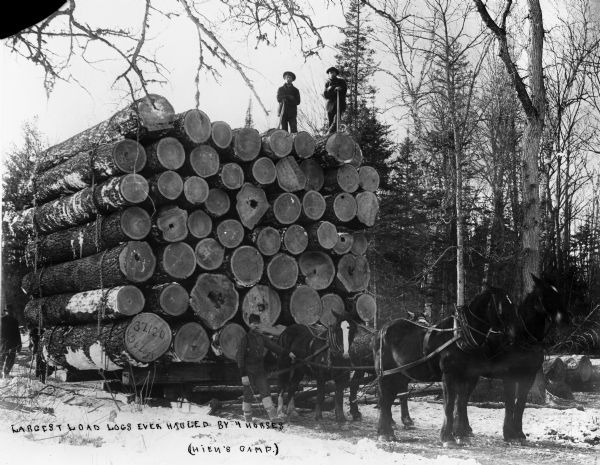 Two men stand at Hein's Lumber Camp atop a load of logs on a sled to which is hitched four horses, claimed to be the largest load of logs ever hauled by four horses. A third man is holding the reins of the horses and a fourth stands to the rear of the sled. There is snow on the ground.