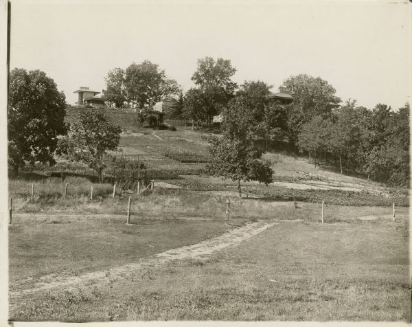 Pasture, vegetable gardens, and trees on the southeast side of Taliesin I.