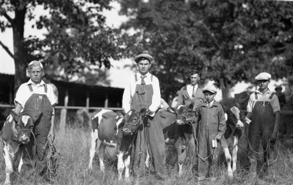 Four boys who are 4-H members are wearing hats and showing their calves, probably at the Sawyer County Fair.