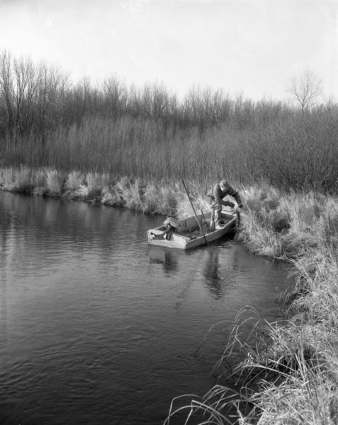 A hunter, sporting cold weather attire and thigh-high rubber boots, pulls a mink in a trap off the shoreline and on to his small, motorized, fishing boat. Tall grasses and trees line the shore.