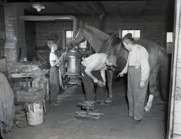 Leander Schierl, Wendelin Schierl, and a young boy inside Schierl's Blacksmith Shop. Leander bends over, shoeing the horse, while his father observes. On the left a young boy holds the horse's reins. Various tools and equipment can be seen, including a bucket of horseshoes, an anvil and hammer, and an old pot bellied stove.