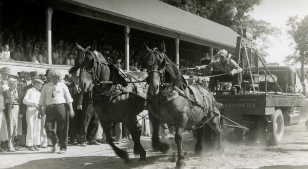 Two horses pull a pickup truck for an audience. "Dynamometer" is written on the back of the truck.