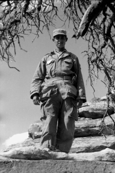 An Algerian National Liberation Front member standing on large boulders near a tree while posing for a photograph.