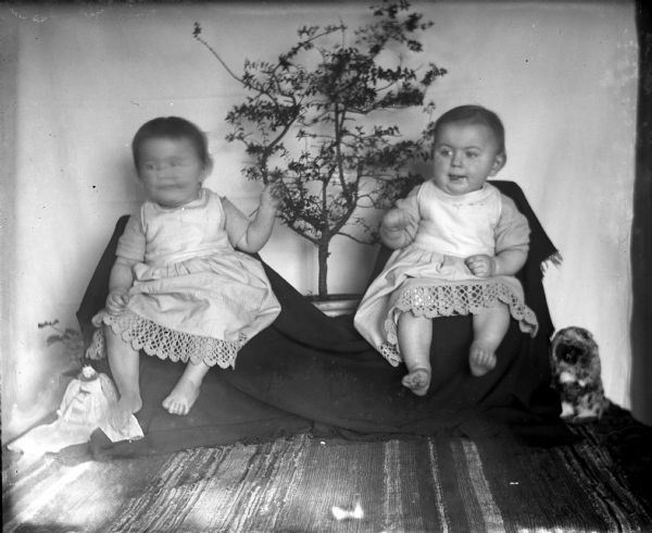 Jennie and Edgar Krueger, at 11 months and 17 days old, each sitting on a chair covered with a dark cloth. They are posing in front of a white backdrop and a potted plant. There is a toy animal on wheels on the right and a doll is on the left.