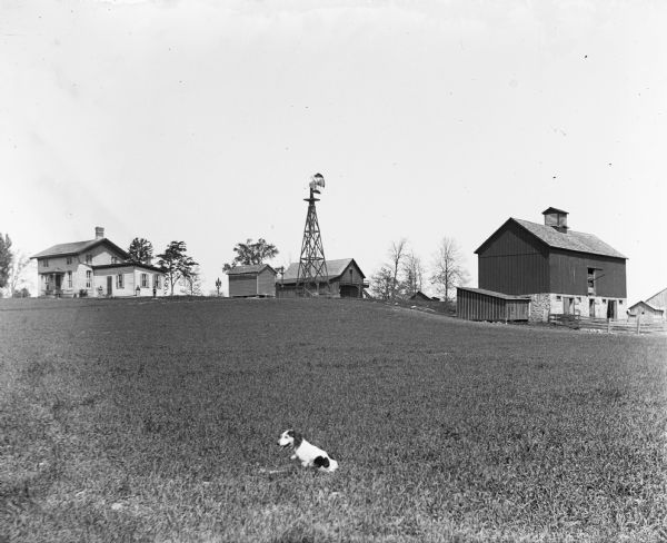 View of the farm buildings of Mrs. H. Bentert. A dog is sitting in a field in the foreground, and three people are standing near the house.