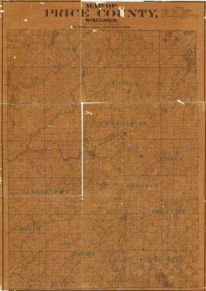 This late 19th century map of Price County, Wisconsin, shows landownership and waterfront acreages, the township and range system, towns, cities and villages, saw mills, residences, schools, swamps, government land, roads, and railroads.