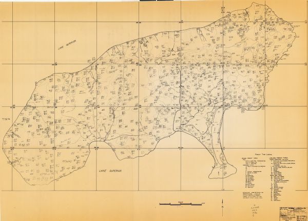 Stockton Island Cover Type Map This map shows the types of upland and lowland forest vegetation on Stockton Island, one of the Apostle Islands in Lake Superior.