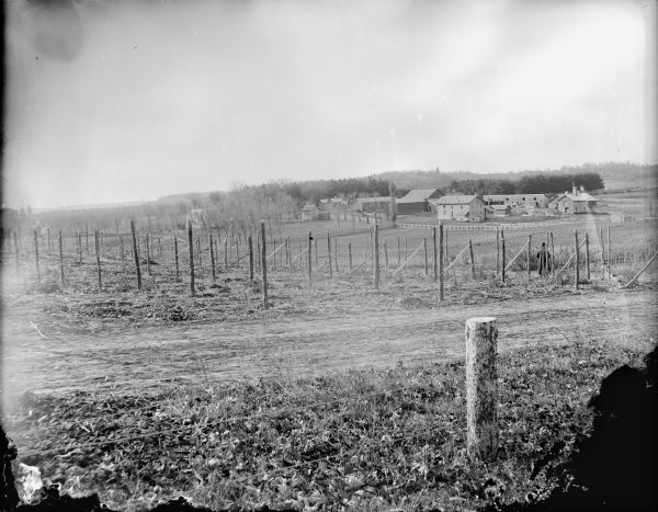 View over fences, fields and road towards several wooden buildings. A man is standing overlooking the fields with his back towards the camera.	