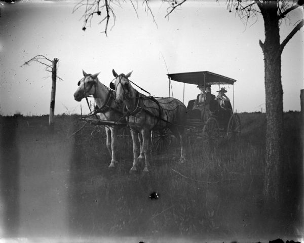 Three Women in a Surrey Three-quarter view from front left of three women posing sitting in a surrey behind a team of two horses wearing fly-nets.