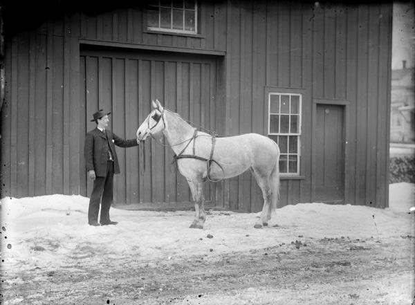 Man Displaying a Horse View towards a man displaying a horse wearing a harness and blinders in front of a wooden building with a large, closed barn door.