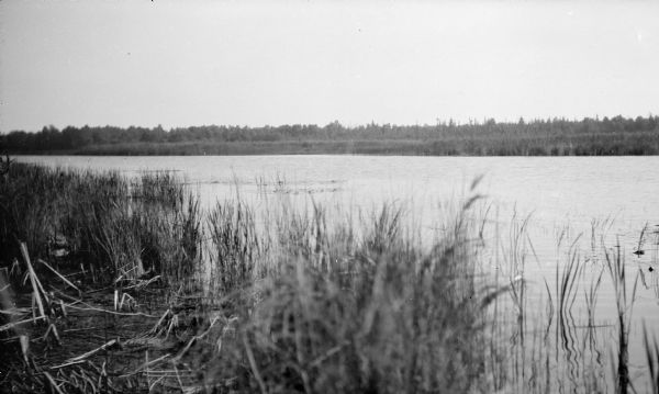 A view of the Mink River estuary with marsh grasses in the foreground.