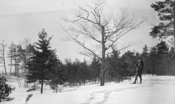 Winter scene with an unidentified man pausing while snowshoeing.  He carries a long walking stick.