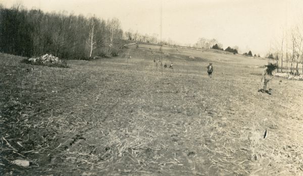 Stone walls line a tilled field where workers carry shovels and bundles of small trees to plant an orchard.