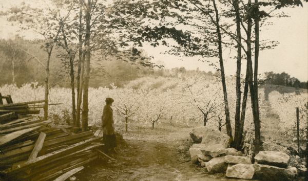 The photographer's wife Clothilde admires the view of the Gibraltar Orchard in full bloom. The is a pile of lumber on the left; stones are piled under trees on the right.