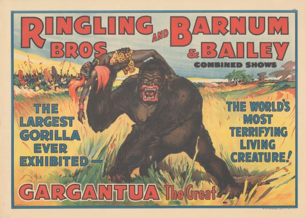 Gargantua the Gorilla roars as he holds a native African tribesman over his head using one arm. In the background the rest of the tribe, carrying shields and spears, is running away to escape being attacked. At the top is the text, "Ringling Bros. and Barnum & Bailey Combined Shows." On the left, "The Largest Gorilla Ever Exhibited —" and on the right "The World's Most Terrifying Living Creature!" At the foot it reads, "Gargantua the Great."