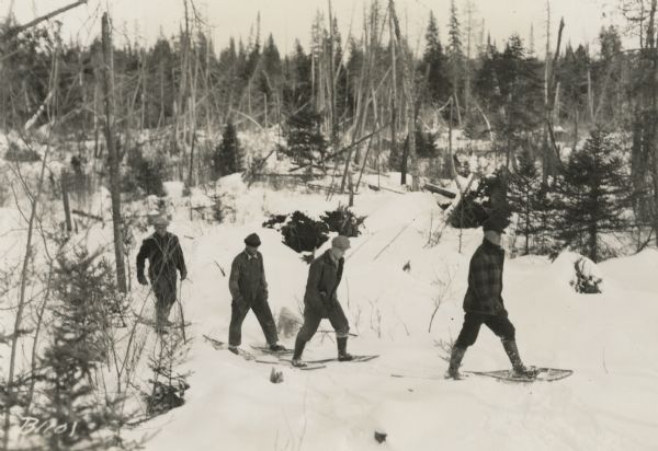 Winter scene with four men walking on snowshoes through a forest.