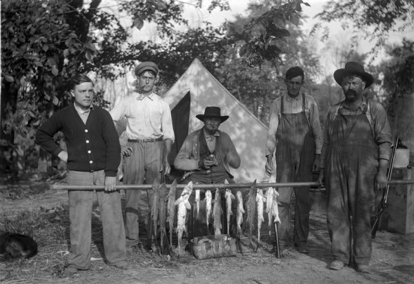 Five fishermen are posing in front of a tent with a long pole of sturgeon. A dog can partially be seen sitting on the ground on the left.