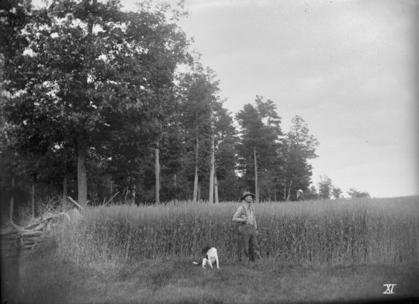 Man and dog standing in a field of spring wheat on the farm of Ferdinand Ledke. Another man is standing in the background, facing the forest.