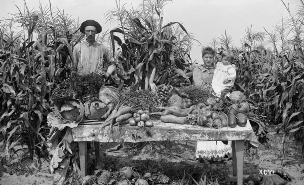 Matthew H. Stephenson, his wife Julia Hebert Stephenson, and their son William Clinton pose with vegetables from the Menomonee River Boom Company garden near Marinette. Their vegetables include sweet corn, cabbage, carrots, rutabagas, squash, onions, and cucumbers.
