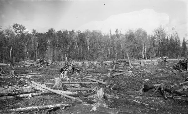 Partially cleared stump land on the farm of Gustave Voight, two miles south of Merrill, Lincoln county. Logs for burning are in the foreground. In the far background on the right is someone standing with a horse.