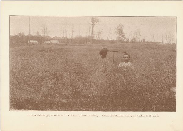 Promotional card showing the abundance of oats in northern Wisconsin. The image depicts Abe Eaton holding a rake in his tall fields. His hat rests on the side of the rake. The caption reads, "Oats, shoulder high, on the farm of Abe Eaton, south of Phillips. There oats threshed out eighty bushels to the acre."