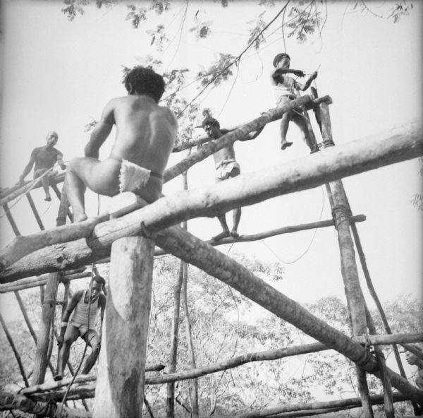 Five indigenous workers balance on timbers while building the framing for a roof on Kiriwina Island in the Solomon Sea, New Guinea (present day Papua New Guinea).