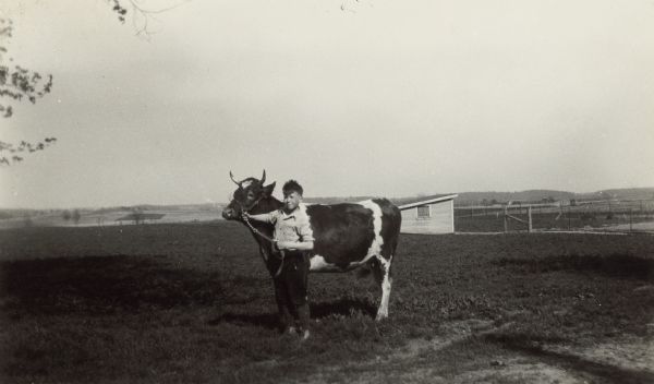 Robert Hulburt, age 11 and a student at Hillcrest School, District No. 6, Towns of Waukesha, Pewaukee, Brookield and New Berlin, poses with his heifer in a pasture. There is a small building in the background. On the reverse, the photograph is titled "Two prize farm animals" and explained: "Robert was the youngest ever to win in the open competition at the cattle show of the Wis. state fair. He was $10 richer because he entered his calf against experienced showmen. He got 7th place in a class where the competition was stiff."