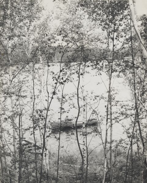 View through birch trees looking down at two men fishing from a rowboat near the shoreline. Another boat is tethered to the shore nearby.