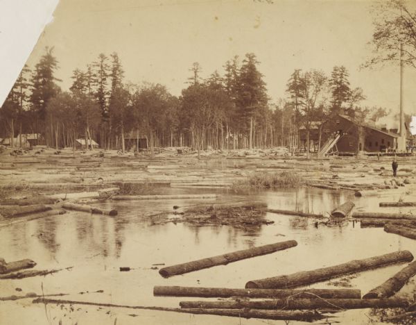 90,000 feet of pine logs floating in the storage/sorting pond at the Arpin Lumber Company sawmill. The sawmill and other buildings are in the background. On the right a man or young boy stands on a log in the water. A group of people are standing at an open doorway at the top of a chute in the sawmill. Another group stands at the shoreline in front of a tall chimney.