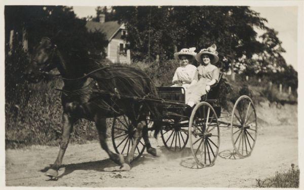 Two young women in a horse-drawn buggy passing along a country road.