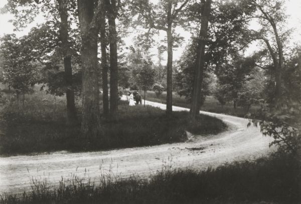 Country road, showing a woman and a buggy pausing in the distance.