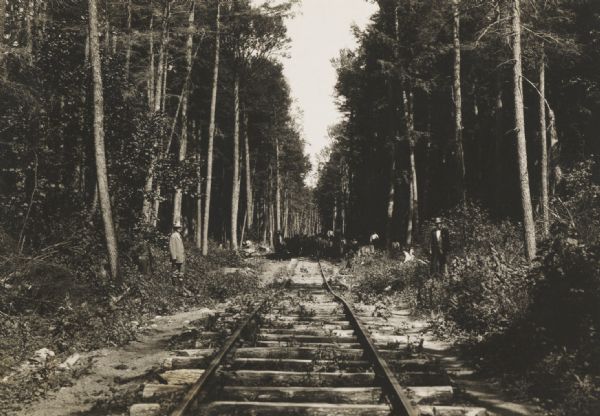 Logging company's railroad tracks and construction crew in a forest.
