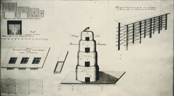 Illustrations of skep hive design. Writing on back of photograph: "Skep hive used by Schiroch 1770. Made of straw usually kept in bee houses during the winter and covered stands during the summer."