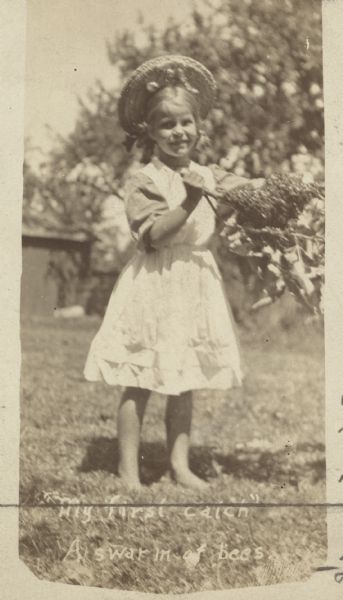 8-year-old Verna Hohman holding a tree branch with a swarm of bees. Caption reads: "'My First Catch' A Swarm of Bees." Sent to the <i>American Bee Journal</i> in Chicago.