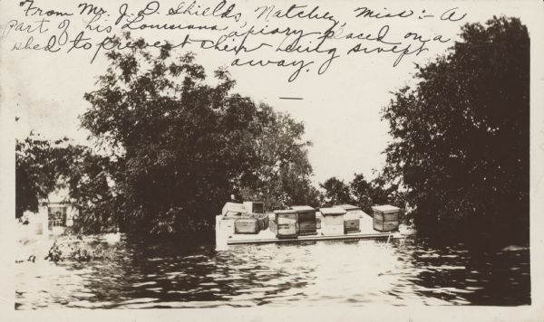 Hives on top of a shed in a flood. From Mr. J.D. Shields, Natchez, Mississippi. A part of his Louisiana apiary placed on a shed to prevent their being swept away.