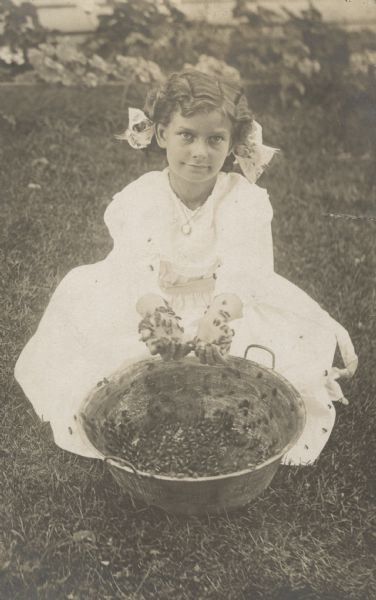 Photographic postcard of Miss Lucille Johnson, a young girl in a white dress with a bow in her hair. She is squatting behind a large bowl of bees, hands outstretched and covered in bees. Writing on back of postcard: Webster, Iowa.