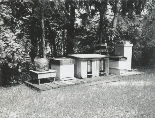 Old time hive display at Honey Acres. Hives from left to right: skep, chaf hive, two colony hive, 1890 hive, and modern hive.