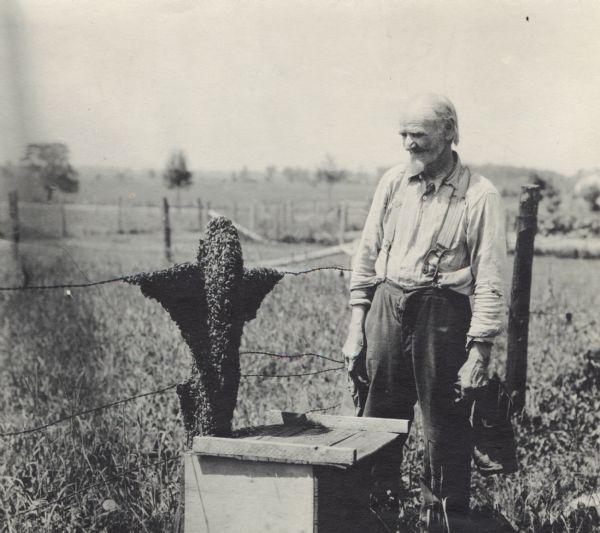 Frank Buhl is standing next to a swarm of bees on a fence post and barbed wire. A beehive is directly beneath the swarm. Buhl, who is wearing suspenders, is holding heavy gloves in his hands.