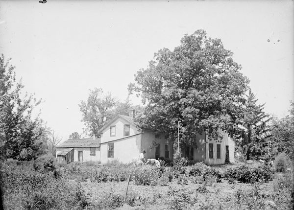 Exterior view of the Turvill house and garden. A man and woman are working in the garden near the Turvill home. The woman, wearing a bonnet, is bent over working, while the man stands next to her with a gardening tool in his hand. The garden is in the foreground, with trees surrounding the house.