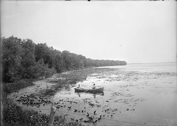 Slightly elevated view of the west shore of Turville Bay. Two men sit in a rowboat near the shore surrounded by water lilies. There is a fence in the foreground, and trees are along the shoreline on the left. In the far background is the shoreline across the lake.