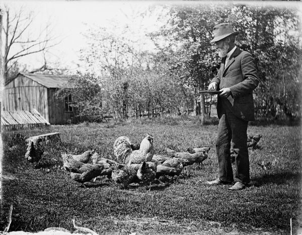 An unknown man is standing and feeding chickens in a farm yard. A barn is in the background on the left.