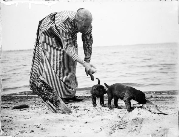 Elizabeth Turvill Wood on the beach with two puppies, who are investigating a dead fish. The lake is in the background.
