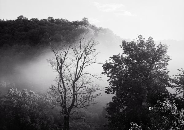 Sunrise on Treetops Text on back of Pairing, "Sunrise on treetops along the north shore of the Wisconsin River, near Boscobel, but in Crawford County." Fog fills the middle ground and bluffs are in the background.