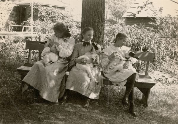 Three farm girls, probably of German extraction, seated on a bench, playing with three kids (young goats) in their laps. There are buildings in the background. Probably at or near Alma.