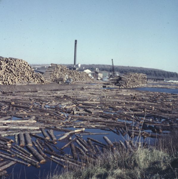 View from shoreline of logs floating in the water of Neopit Mill Pond.  The sawmill is across the water, partially obscured by tall piles of logs.